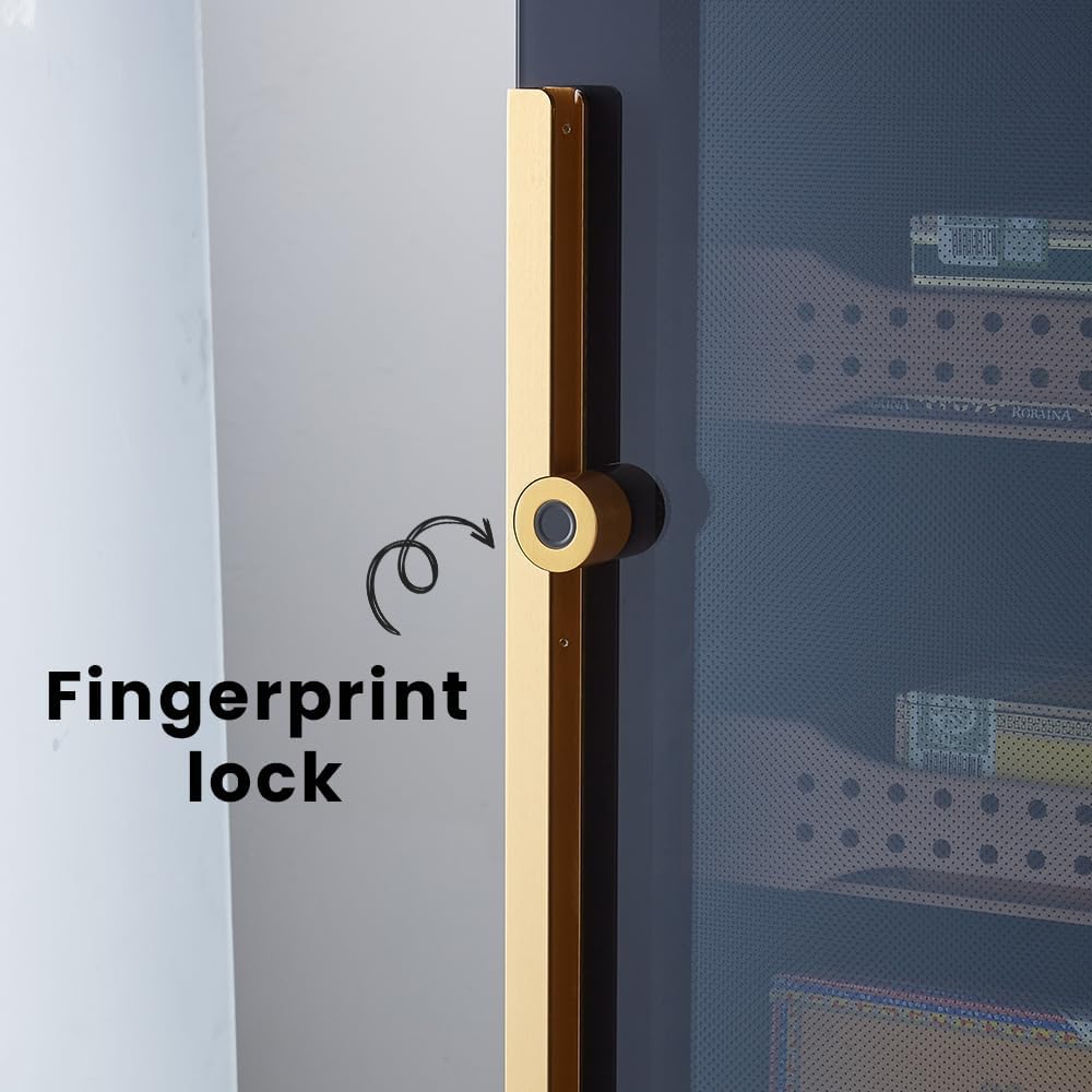 Electric cigar humidor B6 dual zone storage cabinet