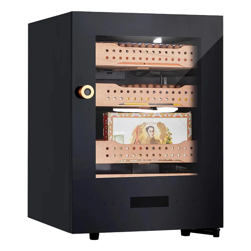 Afidano Electric Humidor B1 2nd photo