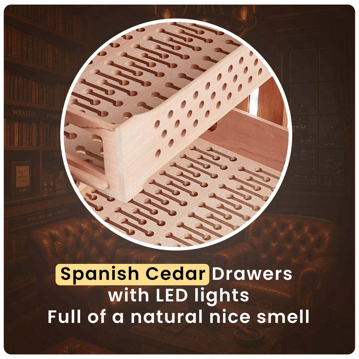 Afidano Electric Cigar Humidor C8 7th Photo